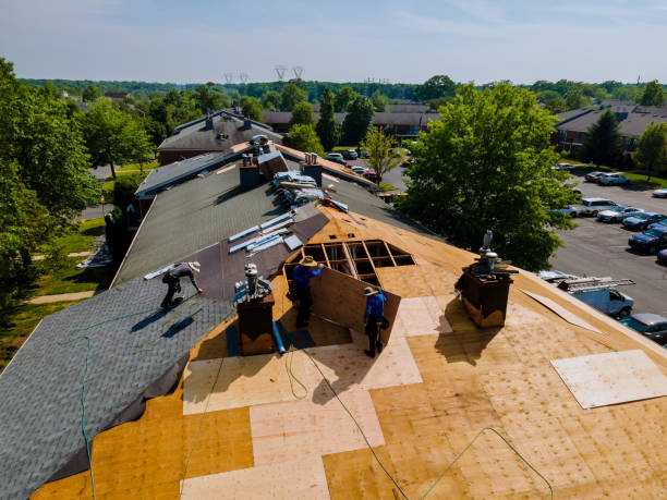 Best Roof Gutter Cleaning  in Edmore, MI