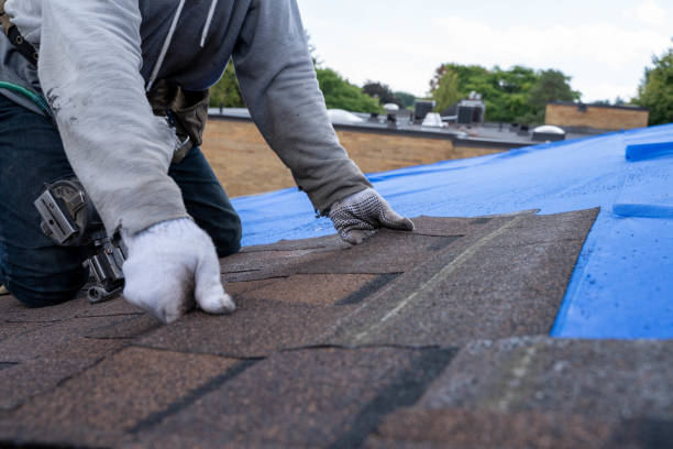 Best Flat Roof Repair Services  in Edmore, MI