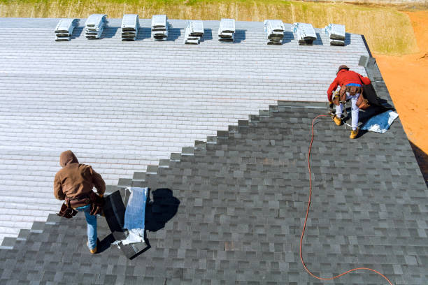 Roof Waterproofing Services in Edmore, MI