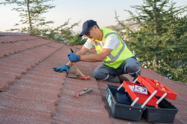 Best Commercial Roofing Services  in Edmore, MI