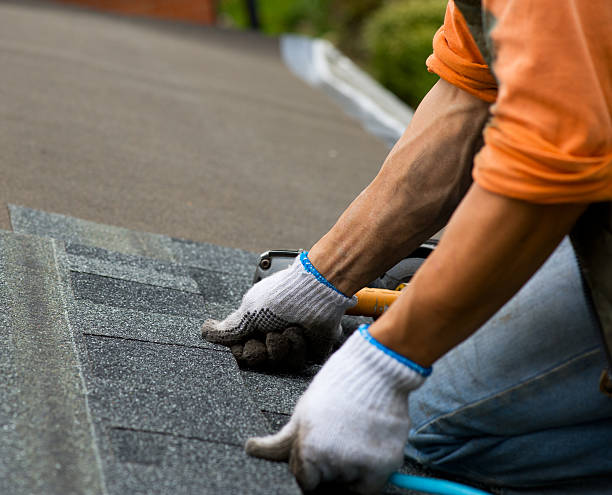 Quick and Trustworthy Emergency Roof Repair Services in Edmore, MI