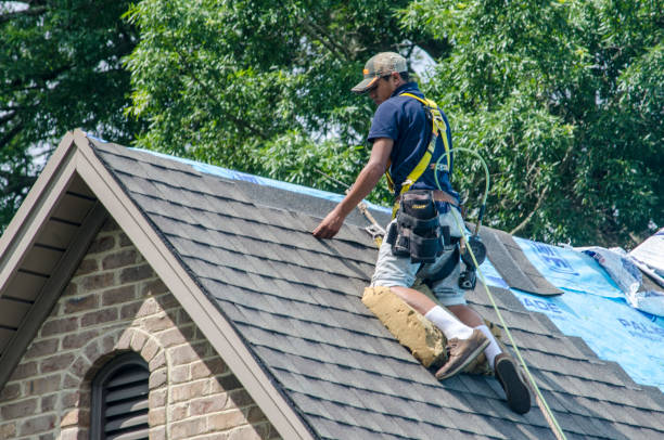 Best Shingle Roofing Installation  in Edmore, MI